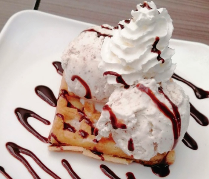 Waffles Con Helado